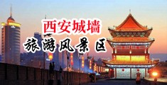 屄屄网站中国陕西-西安城墙旅游风景区